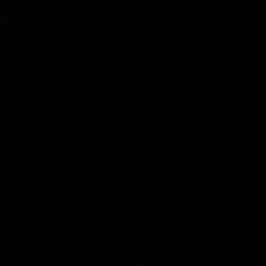 Meet your Posher, Brynn